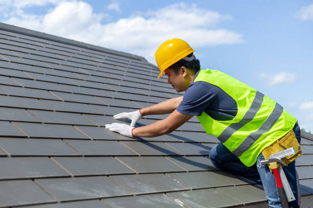 Best Roof Repair Services  in Castle Rock, WA