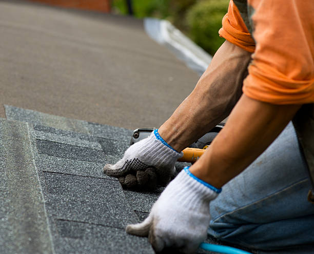 Best Metal Roofing Contractor  in Castle Rock, WA