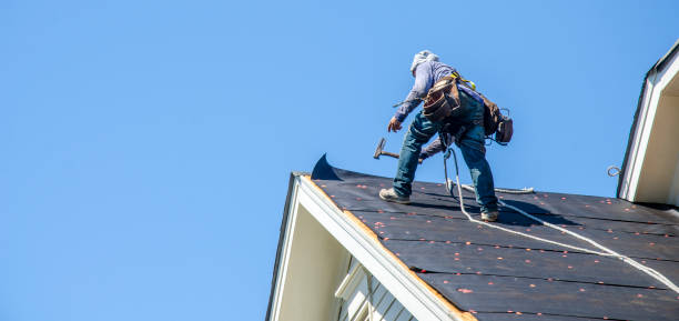 Best Roof Gutter Cleaning  in Castle Rock, WA